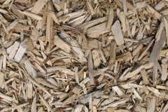 biomass boilers Holme Wood